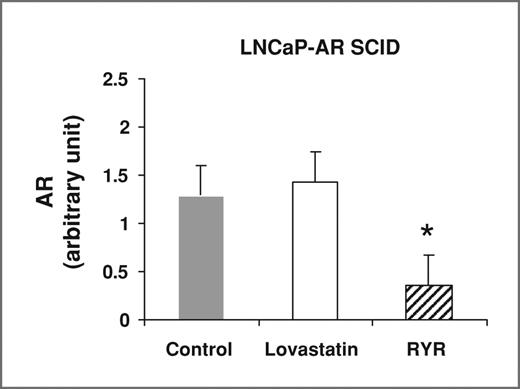 Figure 7. RYR effects on gene expression of AR. RYR diet also decreased AR expression by more than 2-fold in androgen-independent SCID tumors. Values are mean ± SE. *, significantly different from control at P < 0.05.