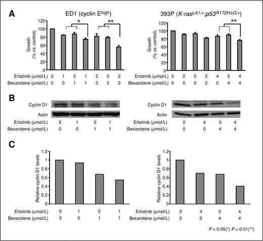 Figure 1. Growth response and induced changes in cyclin D1 immunoblot expression following individual or combined bexarotene and erlotinib treatments of genetically-defined murine lung cancer cells. (A) Individual and combined growth response of murine lung cancer cell lines driven by cyclin E (ED1 cells, cyclin Ehigh) or by KRAS/p53 (393P cells, K-rasLA1/+/; p53R172HΔG/+) when independently treated with the indicated dosages of bexarotene, erlotinib, or the combination. (B) Immunoblot changes in expression of cyclin D1 (relative to actin as a loading control) of a representative experiment following treatment with bexarotene, erlotinib, or the combination. (C) The intensities of the signals in panel B (relative to actin) were determined and displayed in this panel showing cooperative inhibitory effects on cyclin D1 expression. Statistically significant changes; *, P < 0.05; **, P < 0.01.