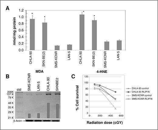 Figure 1. Measurement of endogenous levels of 4HNE and MDA in a panel of neuroblastoma cells (A; P < 0.001). Expression of RLIP76 in neuroblastoma cells as assessed by Western blot analyses by using anti-RLIP76 IgG as a primary antibodies. The bands were quantified by scanning densitometry by using Innotech Alpha Imager HP. β-Actin was used as a loading control (B). Protective effect of control liposome and RLIP76 proteoliposomes (50 μg/mL) on radiation toxicity by colony-forming assay (C; P < 0.01). A and C, results are average and SD from 3 separate experiments, each in triplicates (n = 9).