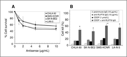 Figure 4. A, dose-dependent cytotoxicity induced by RLIP76 antisense (R508) in neuroblastoma cells. Cells were treated with R508 by using Maxfect transfection reagent (MoleculA, Inc.). Cell survival was measured by MTT cytotoxicity assay 48 hours after treatment. The values are presented as mean ± SD from 2 separate determinations with 8 replicates each (n = 16). B, cytotoxic interactions of anti-RLIP76 IgG and CDDP. Cytotoxic effects were calculated for absorbance values obtained from MTT cytotoxicity assays. Cells were treated alone or in combinations with anti-RLIP76 IgG (10 μg/mL) and CDDP (1 μmol/L) for 48 hours before MTT assay. Eight replicates were done in 3 separate experiments (n = 24); *, P < 0.01.