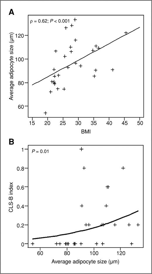 Figure 3. Adipocyte size correlates with both BMI and CLS-B index. A, a moderate correlation was observed between the average breast adipocyte size and BMI (P < 0.001). B, CLS-B index relative to average adipocyte size for each study subject (n = 29). Increasing adipocyte size was associated with a statistically significant increase in the CLS-B index (P = 0.01).