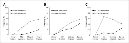 Figure 2. Frequencies of CTTN (A), FAK (B), and CCND1 (C) protein expression and gene amplification in the different stages of laryngeal tumorigenesis.