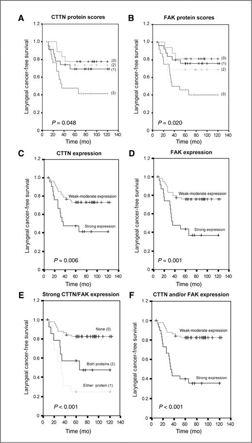 Figure 3. Kaplan–Meier cancer-free survival curves in patients with laryngeal dysplasias categorized by CTTN (A) and FAK (B) protein scores; CTTN (C) and FAK (D) protein expression dichotomized as score 3 (strong) versus scores 0 to 2 (weak-moderate); (E) CTTN and FAK expression grouped as strong expression of either one protein (1), both proteins (2), or none (0); and (F) CTTN and/or FAK protein expression dichotomized as strong versus weak to moderate. P values were estimated by using the log-rank test.