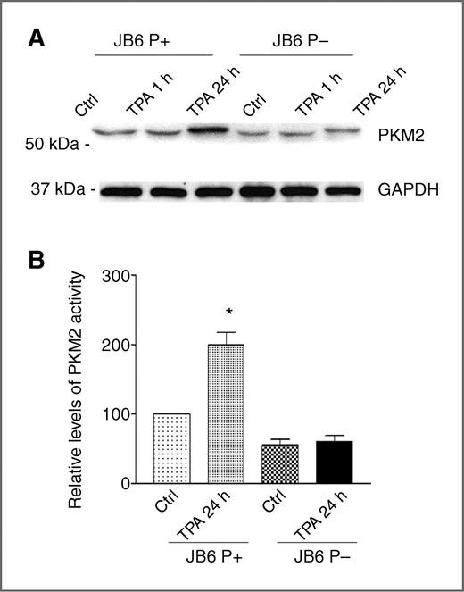 Figure 4. PKM2 was activated only in promotable JB6 P+ cells. Both JB6 P+ and P− cells were treated with TPA (100 nmol/L) for 1 or 24 hours, and whole-cell lysate was prepared for the experiments. A, Western blot analysis of PKM2. B, PKM2 activity assays. Ctrl, control (0.01% DMSO for 24 hours). *, P < 0.05 compared with its own control group.