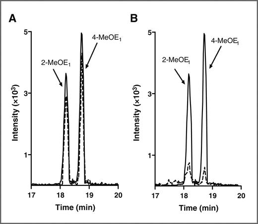 Figure 2. Effect of black cohosh and hops on oxidative estrogen metabolism in MCF-10A cells. Positive ion-electrospray selective reaction monitoring (SRM) chromatograms of 2-MeOE1 and 4-MeOE1. A, black cohosh had no significant effect on 2-MeOE1 and 4-MeOE1 formation, whereas (B) hops significantly inhibited the formation of 2-MeOE1 and 4-MeOE1. MCF-10A cells were treated with and without black cohosh (20 μg/mL) or hops (5 μg/mL) in the presence of E2 (1 μmol/L) for 6 days. Cell media were collected, and the metabolites were extracted into dichloromethane followed by the derivatization with dansyl chloride. Samples were analyzed by LC/MS-MS in MRM mode as described in Materials and Methods. Overlaid SRM chromatograms represent the formation of 2-MeOE1 and 4-MeOE1 in E2 treated (line) and E2 and (A) black cohosh (dashed line) or (B) hops (dotted line)-treated samples.