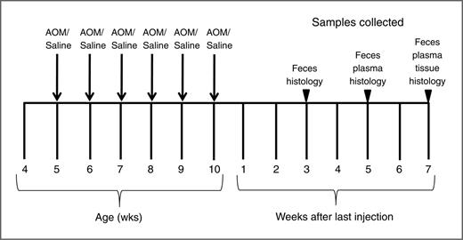 Figure 1. Experimental design. Male A/J mice were given 6 weekly intraperitoneal injections of AOM (10 mg/kg; n = 40) or 0.9% saline (n = 35) beginning at 5 weeks of age. Feces were collected 3, 5, and 7 weeks after the last injection; plasma was collected 5 and 7 weeks after the last injection; tumor tissue from AOM-injected mice and colorectal mucosa from saline-injected mice were harvested 7 weeks after the last injection. Separate groups of mice (n = 5 mice/time point) were used to determine tumor burden and histology 3, 5, and 7 weeks following the last AOM injection.
