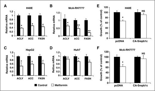 Figure 5. Inhibition of lipogenic gene expression is responsible for the growth effects of metformin. Treatment with metformin decreases lipogenic gene expression in (A) H4IIE, (B) MCA-RH7777, (C) HepG2, and (D) Huh7 HCC cell lines. Expression was normalized to β-actin and expressed relative to control. N = 3 ± SD, *, P < 0.05; **, P < 0.005 compared with control. Induction of lipogenic gene expression by ectopic expression of SREBP1c rescues metformin-mediated growth inhibition in (E) H4IIE and (F) MCA-RH7777 HCC cell lines. Stable pcDNA vector control and CA-SREBP1c expressing cell lines were established. Cells were treated with metformin for 72 hours and cell growth determined using a hemocytometer. N = 3 ± SD, *, P < 0.01.
