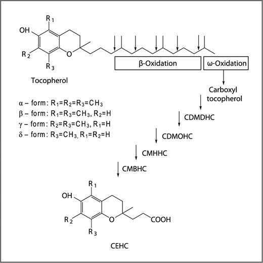 Figure 1. Structure of tocopherols and the metabolic pathways. The structures are illustrated as the general chromanol ring system of tocopherols, and the positions of the methyl group or hydrogen for each individual tocopherol. The arrows indicate the sequential side chain degradation and the resulting metabolites.
