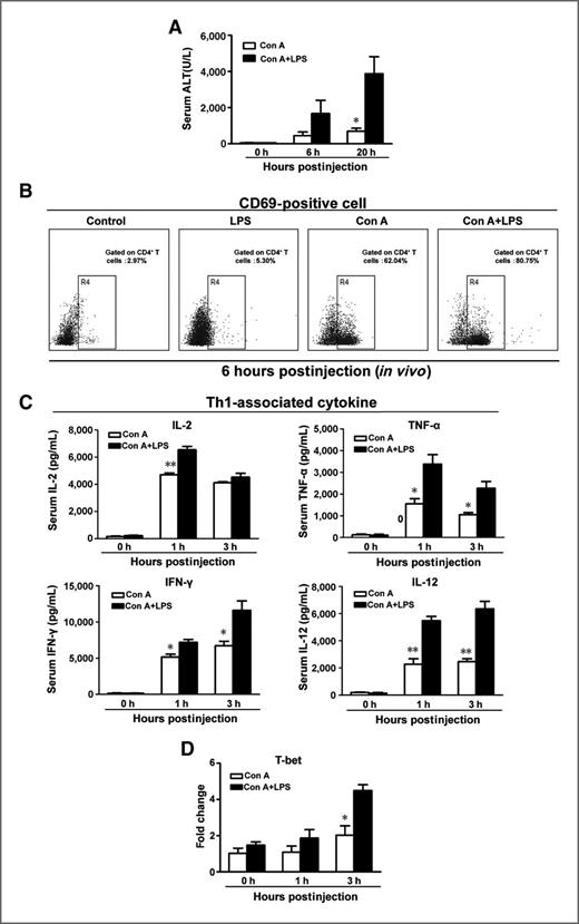 Figure 3. Exogenous LPS aggravates Con A–induced liver injury. A, mice were injected with Con A+LPS or Con A alone. At the indicated times, serum ALT levels were determined. B and C, the activation of CD4+ T cells (B) and serum levels of Th1-associated cytokines IL-2, TNF-α, IFN-γ, and IL-12 (C) in mice treated with Con A+LPS or Con A alone. D, expression of T-bet mRNA in livers of Con A-administrated mice treated with or without LPS. *, P < 0.05; **, P < 0.01.