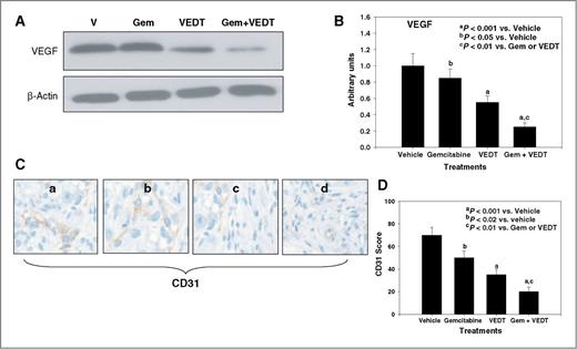 Figure 3. VEDT, alone and in combination with gemcitabine (Gem), inhibits tumor angiogenesis in KPC mice. A, Western blotting of VEGF in tumors of KPC mice treated with drugs and vehicle (V) over 12 weeks (n = 5). Gemcitabine and VEDT alone and in combination decreased VEGF expression. B, semiquantitative analysis shows significant reduction of VEGF expression of 21% (bP < 0.05), 55% (aP < 0.001), and 78% (aP < 0.001) with gemcitabine, VEDT alone, and gemcitabine + VEDT, respectively, compared with vehicle. C, effect of vehicle (a), gemcitabine (b), VEDT (c), and gemcitabine + VEDT (d) on CD31 immunostaining in tumors of KPC mice. D, semiquantitative analysis shows that gemcitabine, VEDT, and gemcitabine + VEDT significantly decreased CD31 immunostaining by 29% (bP < 0.02), 57% (aP < 0.001), and 97% (aP < 0.001), respectively, compared to vehicle. Results are means and SE (n = 5). All statistical analyses were conducted using ANOVA with Duncan test.