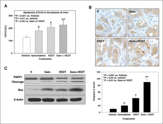 Figure 4. VEDT, alone and in combination with gemcitabine (Gem), induces apoptosis in plasma and tumors of KPC mice. A, gemcitabine, VEDT, and combination of the 2 drugs significantly induced apoptotic tumor cells (CK18) in the plasma by 45% (bP < 0.01), 71% (aP < 0.001), and 84% (aP < 0.001), respectively, compared to vehicle. Results are mean and SE (n = 5). B, cleaved caspase-3 immunostaining in pancreatic tumors after drug treatment (top). Semiquantitative analysis (histogram at bottom) shows that gemcitabine (bP < 0.05), VEDT (aP < 0.001), and gemcitabine + VEDT (aP < 0.001) treatment significantly increased immunostaining of cleaved caspase-3 versus vehicle. Results are means and SE (n = 5). C, Western blotting of PARP1 cleavage and pro-apoptotic protein Bax expression in tumor tissues of drug-treated KPC mice. Gemcitabine, VEDT, and gemcitabine + VEDT increased apoptosis marker PARP1 cleavage and Bax expression compared to vehicle (n = 5). All statistical analyses were conducted using ANOVA with Duncan test.