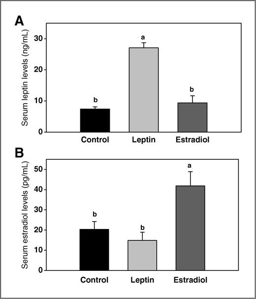 Figure 1. Serum (A) leptin and (B) estradiol levels on day 19 of pregnancy in rat dams exposed to 15 μg of leptin or 10 mg of estradiol between days 8 and 19 of gestation. All values are expressed as the mean ± SEM of 5 to 7 rats/group. Means with a different letter are significantly different from each other: P < 0.05.