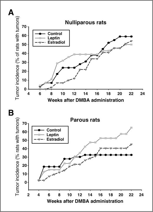Figure 2. Effects of an exposure to leptin (15 μg) or estradiol (10 mg) on mammary tumorigenesis in (A) in nulliparous rats (received hormonal treatments for two weeks) and (B) in parous rats (received hormonal treatments between gestation days 8 and 19). Tumor incidence values are expressed as percentage of animals with mammary tumors in each group. No statistically significant differences were seen among the nulliparous rats, but parous rats exposed to leptin during pregnancy exhibited significantly higher mammary tumor incidence than vehicle treated parous controls (P < 0.039).