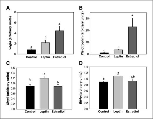Figure 5. Effects of an exposure to leptin or estradiol during pregnancy on mammary gland mRNA levels of (A) Vegfa, (B) Ptn, (C) Mapk 9, and (D) Eif4e, determined 17 weeks after pregnancy. All values are expressed as the mean ± SEM of 6 to 8 rats/group. Means with a different letter are significantly different from each other: P < 0.05.