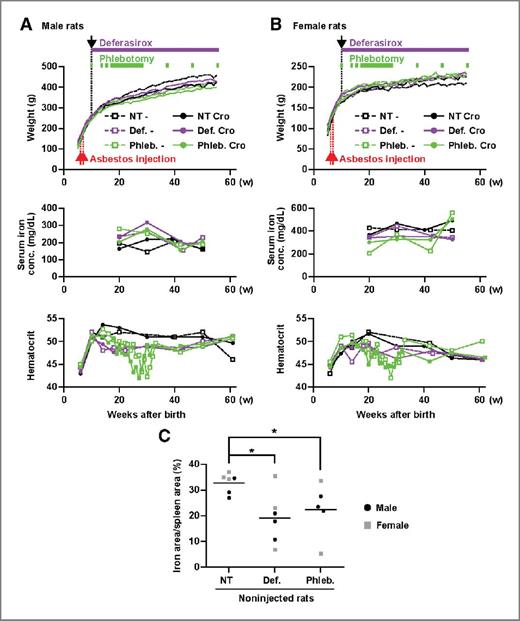 Figure 3. Effects of long-term deferasirox and phlebotomy in rats. A and B, body weights, serum iron concentration and hematocrit of male (A) and female (B) rats during the carcinogenesis experiments. The rats were injected twice with 5 mg of crocidolite at 6 and 7 weeks of age and treatments with deferasirox administration or phlebotomy was started at 10 weeks of age. The iron reduction treatments were conducted as indicated by bars and as described in Materials and Methods. Of note, n = 3 in each control group (no crocidolite group). Crocidolite-injected rats were divided into 6 groups, including nontreated male (n = 28), nontreated female (n = 27), deferasirox-treated male (n = 9), deferasirox-treated female (n = 7), phlebotomy-treated male (n = 8), and phlebotomy-treated female (n = 4). C, splenic iron reduction with deferasirox or phlebotomy at the death of each rat. P values (*, P < 0. 05) were determined by a Student t test.