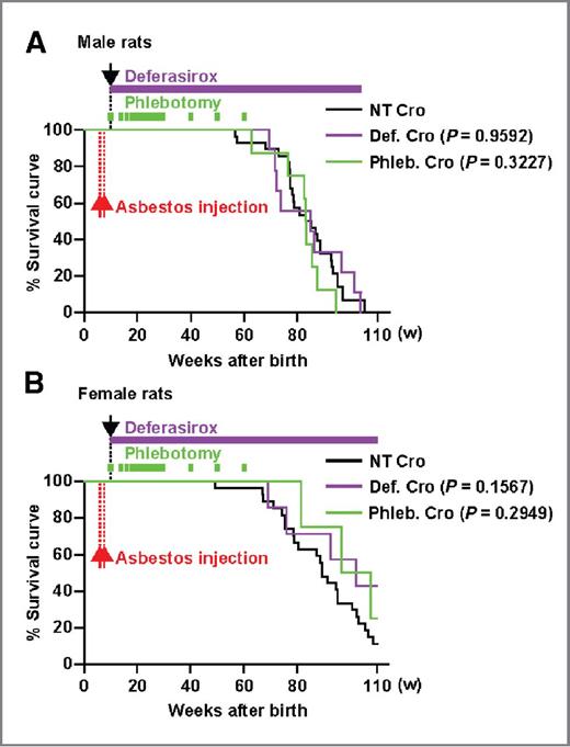 Figure 5. Suppression of mesothelial carcinogenesis in crocidolite-injected female rats with long-term treatment of deferasirox. A and B, the survival curves of male (A) and female (B) rats injected with crocidolite. P values were determined with the log-rank test. See Results for details.