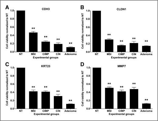 Figure 1. siRNA silencing of CDH3, CLDN1, KRT23, and MMP7 (A–D) in adenoma and CRC cell lines significantly reduces cell viability. Cell viability of transfected CRC and adenoma cell lines was quantitated at 7 days and results are normalized to nontransfected cells (NT). All assays were done in quadruplicate, and cell lines are grouped by phenotype (MSI: HCT116, LoVo; CIN: SW48, RKO; CIMP: FET, SW480). Calculated P-values are for differences in viability between NT and each phenotype. Error bars note standard deviation. NT, nontransfected cells (transfection with PBS), **P < 0.0001.