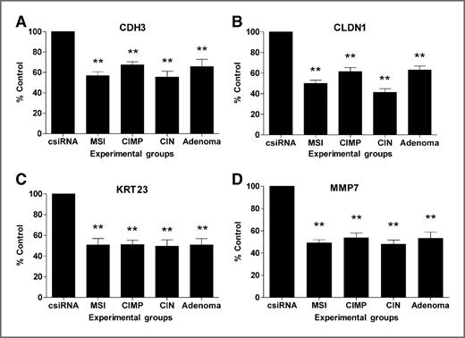 Figure 2. siRNA silencing of CDH3, CLDN1, KRT23, and MMP7 (A–D) in adenoma and CRC cell lines significantly reduces cell proliferation. PCNA protein was quantitated in transfected CRC and adenoma cells. All assays are done in triplicate, cell lines are grouped by phenotype (MSI: HCT116, LoVo; CIN: SW48, RKO; CIMP: FET, SW480), and results are normalized to tubulin and PCNA expression in csiRNA. Error bars note SD, and calculated P-values are for differences in PCNA expression in csiRNA and each phenotype. csiRNA (control nontargeting siRNA), **P < 0.0001.