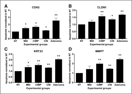 Figure 3. siRNA silencing of CDH3, CLDN1, KRT23, and MMP7 (A–D) in adenoma and CRC cell lines induces apoptosis. Transfected CRC and adenoma cells were assayed for cellular apoptosis and results were normalized to nontransfected cells (NT). All assays were conducted in quadruplicate, and cell lines are grouped by phenotype (MSI: HCT116, LoVo; CIN: SW48, RKO; CIMP: FET, SW480). Calculated P-values are for differences in apoptosis between NT and each phenotype. Error bars note SD. NT, nontransfected cells (transfection with PBS), *P < 0.05, **P < 0.0001.