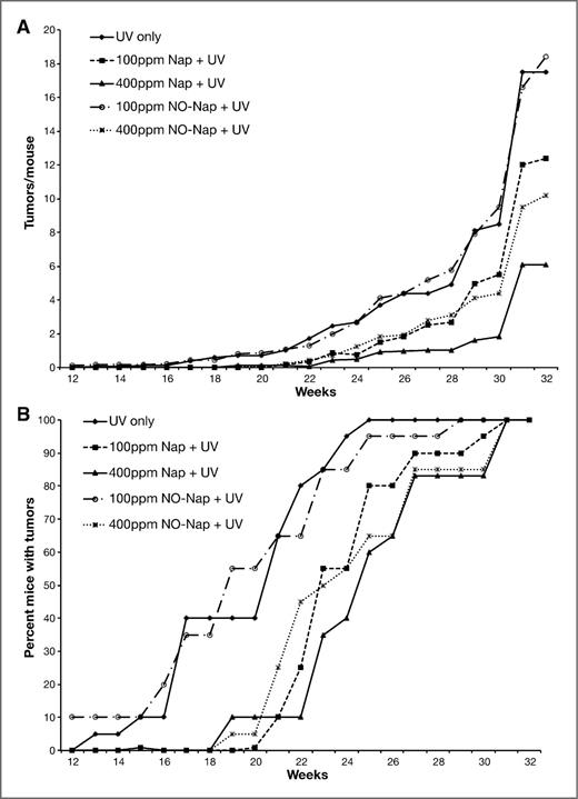 Figure 2. Effect of naproxen or NO-naproxen on UV-induced skin tumorigenesis. Groups of 20 female SKH-1 mice were placed on their experimental diets and exposed to UV irradiation thrice weekly. Tumors were counted weekly and the data were calculated as the average number of tumors per mouse (A). Tumor multiplicity for 100 ppm naproxen was significantly (P = 0.05) different from the UV control group; 400 ppm naproxen and NO-naproxen were very significantly (P < 0.001) different from the UV control. Tumor incidence (B) was calculated as the percentage of mice bearing tumors. Mice in the 400 ppm naproxen, 100 ppm and 400 ppm NO-naproxen groups developed tumors significantly (P < 0.001 for all 3 groups) slower than the UV control.