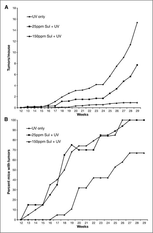 Figure 4. Effect of sulindac on UV-induced skin tumorigenesis. Groups of 20 female SKH-1 mice were placed on their experimental diets and exposed to UV irradiation thrice weekly. Tumors were counted weekly and the data were calculated as the average number of tumors per mouse (A). Tumor multiplicity for 25 ppm and 150 ppm sulindac was very significantly (P < 0.001) different from the UV control. Tumor incidence (B) was calculated as the percentage of mice-bearing tumors. Mice in the 150 ppm sulindac group developed tumors significantly (P < 0.001) slower than the UV control group.