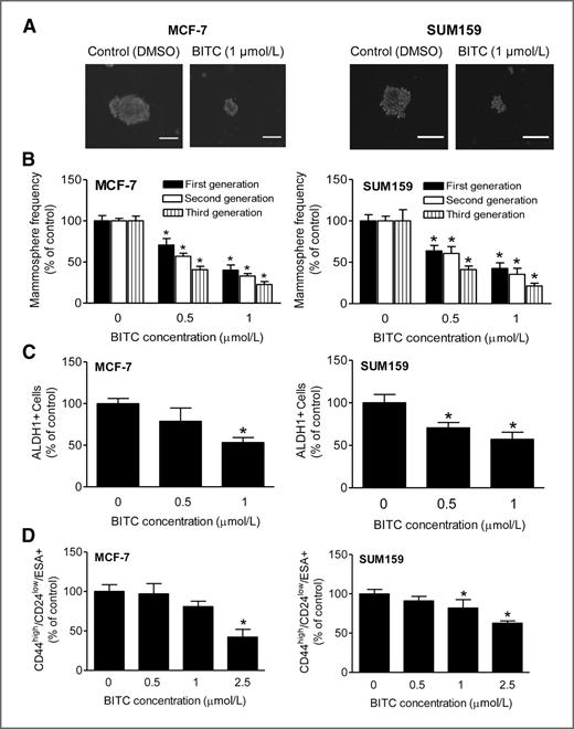 Figure 1. A, representative images depicting MCF-7 and SUM159 primary (first -generation) mammospheres after 5 days of treatment with DMSO or the indicated concentration of BITC (100× magnification; scale bar, 100 μm). B, quantitation of first- (after 5 days), second- (after 5 days), and third-generation (after 7 days) mammospheres. The bar graph shows the frequency of mammosphere formation normalized to DMSO-treated control (mean ± SD, n = 3). C, effect of BITC treatment on ALDH1+ population. The bar graph shows the percentage of ALDH1+ population relative to DMSO-treated control in MCF-7 and SUM159 cells (mean ± SD, n = 3). D, effect of BITC treatment on CD44high/CD24low/ESA+ population relative to DMSO-treated control (mean ± SD, n = 3). *, significantly different (P < 0.05) compared with DMSO-treated control by one-way ANOVA with Dunnett adjustment. Comparable results were observed in two independent experiments. Representative data from one such experiment are shown.