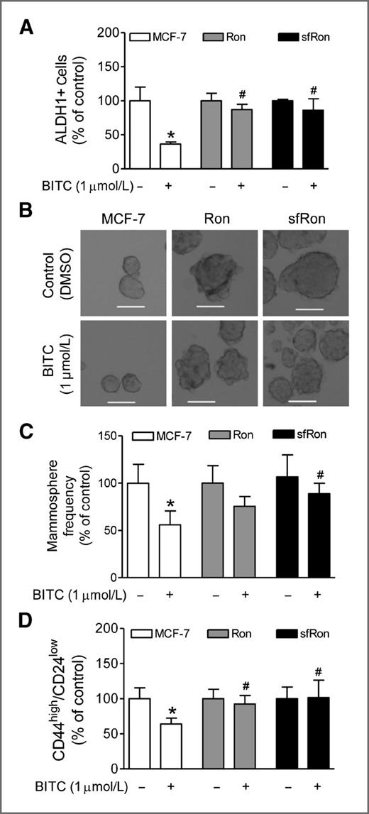 Figure 5. A, percentage of ALDH1+ population normalized to respective DMSO-treated control in MCF-7 cells or those overexpressing Ron or sfRon after 72-hour treatment with DMSO or BITC. Results shown are mean ± SD (n = 6). B, representative mammosphere images (100× magnification; scale bar, 100 μm) for MCF-7 cells and those transduced to overexpress Ron and sfRon. C, bar graph shows the frequency of mammosphere formation normalized to respective DMSO-treated control in MCF-7 cells or those overexpressing Ron or sfRon after 4 days of treatment with DMSO or BITC. Results shown are mean ± SD (n = 6). D, bar graph shows the percentage of CD44high/CD24low population normalized to respective DMSO-treated control in parental MCF-7 cells or those overexpressing Ron or sfRon after 3 days of treatment with DMSO or BITC. Results shown are mean ± SD (n = 6). Significantly different (P < 0.05) compared with (*) respective DMSO-treated control and (#) between BITC treated MCF-7 cells and BITC-treated Ron or sfRon overexpressing cells by one-way ANOVA followed by Bonferroni multiple comparison test. Each experiment was carried out twice in triplicate and combined data from both experiments are shown (A, C, and D).