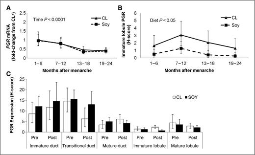 Figure 5. PGR expression as a marker for estrogen activity in the mammary tissue of cynomolgus macaques fed a high-soy (SOY) or casein-lactalbumin (CL) diet across the pubertal transition. A, mRNA expression of PGR decreased after menarche. B, protein expression of PGR in the immature lobules of the breast was lower in the SOY group after menarche. C, immunolocalization of PGR in the breast was similar before (pre) and after (post) menarche and not affected by diet. Values are presented as LSM and error bars = SEM. aFold change from CL at 1 to 6 months after menarche. The significant main effect is indicated in each panel. Body weight and cycle stage were included in the model as covariates.