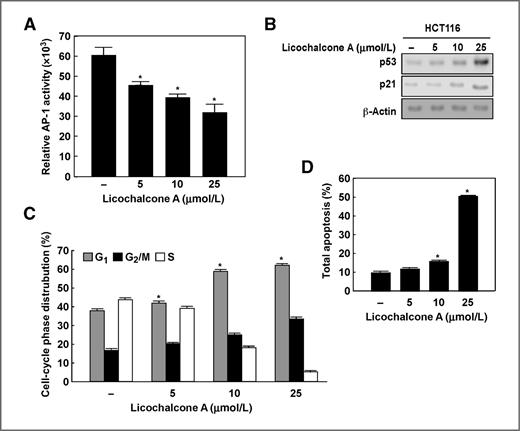 Figure 6. Licochalcone A induces G1 phase cell-cycle arrest and apoptosis in HCT116 colon cancer cells. A, licochalcone A inhibits AP-1 luciferase activity in HCT116 colon cancer cells. HCT116 cells were transiently transfected with the AP-1 luciferase reporter gene construct and incubated with licochalcone A (0, 5, 10, or 25 μmol/L). Luciferase activity was measured as described in Materials and Methods. B, licochalcone A increases p53 and p21 expression in HCT116 cells. HCT116 cells were treated with different doses of licochalcone A for 6 hours. Protein levels of p53 and p21 were visualized by Western blotting. β-Actin was used to verify equal protein loading. C, licochalcone A induces G1 arrest in HCT116 colon cancer cells. Cell cycle was analyzed by flow cytometry. D, licochalcone A induces apoptosis in HCT116 colon cancer cells as assessed by flow cytometry. HCT116 cells were incubated with the indicated concentration of licochalcone A for 48 hours and then collected, and apoptosis was detected by Annexin V and PI staining. For A, C, and D, data are shown as mean values ± S.D. obtained from triplicate experiments. Significant differences were evaluated using factorial ANOVA (Scheffe post hoc test), and the asterisks indicate a significant effect (*, P < 0.01).