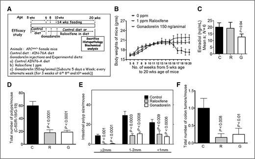 Figure 1. A, experimental design for the evaluation of the chemopreventive efficacy of raloxifene (R) and gonadorelin (G). For details about animals and treatments, see Materials and Methods. B, changes in body weight over time in female ApcMin/+ treated with or without raloxifene and gonadorelin. Statistically significant differences in bodyweight between drug-treated and control groups (C) were observed. C, enzyme immunoassay (EIA) for serum estrogen (E2) in treated mice compared with untreated mice. D, inhibition of total SI polyp formation in ApcMin/+ mice by raloxifene and gonadorelin. Data are means ± SE of 10 animals per treatment group. The control and treated groups are significantly different from one another (P < 0.0001). E, tumor sizes in the small intestine of ApcMin/+ mice in raloxifene- and gonadorelin-treated mice compared with control animals. F, average number of colon tumors per mouse in control and treated ApcMin/+ mice. A significant (P < 0.0007–0.003) inhibition of colon tumors was observed with both raloxifene and gonadorelin. Data are means ± SE of 10 animals per treatment group.