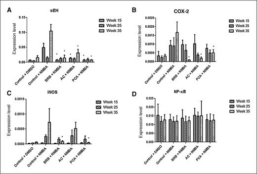 Figure 2. Effects of dietary BRBs, ACs, and PCA on mRNA expression of inflammatory biomarkers using GAPDH as an internal control. A, the sEH mRNA expression was significantly reduced in all treatment groups at weeks 15 and 35 (P < 0.05). B, COX-2 mRNA expression was significantly reduced at week 35 for all groups (P < 0.05). C, only the BRB and PCA diets reduced iNOS mRNA expression significantly at week 35 (P < 0.05). D, no significant change in NF-κB mRNA expression at any time point is revealed. Columns, mean (n = 9 for weeks 15 and 25, n = 10 for week 35); bars, SD. Asterisk (*, P < 0.05) indicates significantly lower results than rats treated with NMBA and fed control diet.