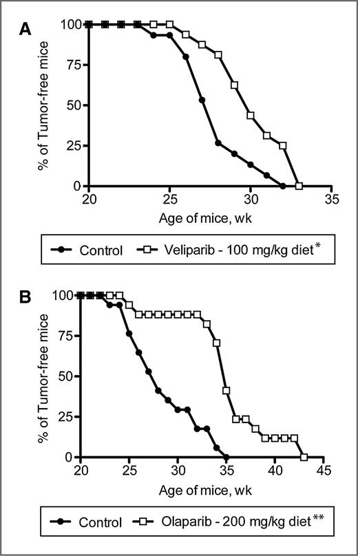 Figure 1. Continuous feeding of veliparib and olaparib diets significantly delayed tumor development in BRCA1Co/Co;MMTV-Cre;p53+/− mice. Mice were fed with either control diet, 100 mg/kg veliparib in diet A, or 200 mg/kg of olaparib in diet B, starting when mice were 10 weeks old, and tumor development was assessed by weekly palpation. No tumors were found before the mice were 20 weeks of age; n = 15, 16 in the control and veliparib groups, respectively, in A; n = 17 for both olaparib and its respective control group in B; *, P < 0.05 versus the control group in A; and **, P < 0.001 versus the control group in B.