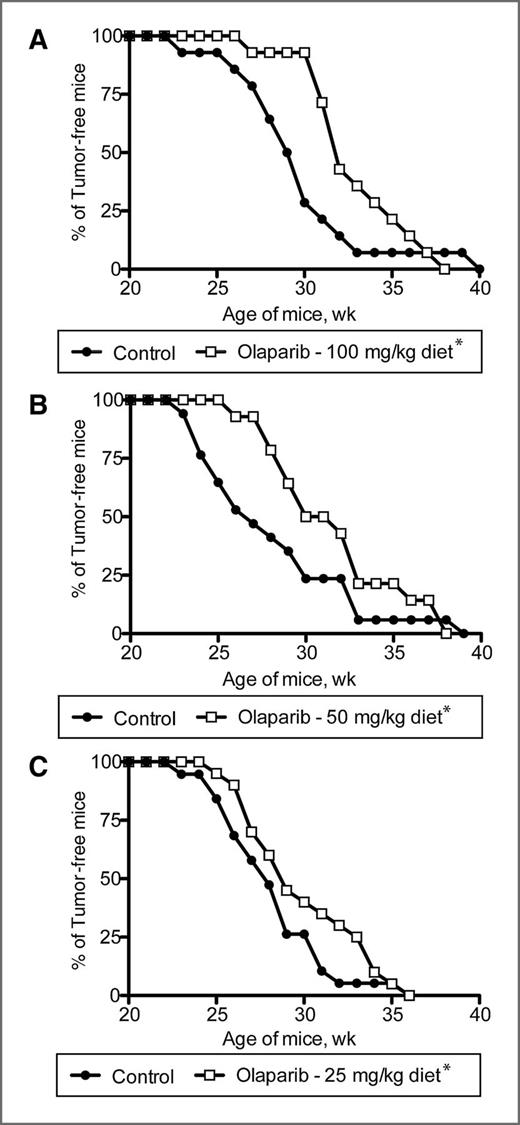 Figure 2. Dose de-escalation studies with BRCA1-deficient mice fed continuously with olaparib diets. Mice were fed with control, 100 mg/kg A, 50 mg/kg B, or 25 mg/kg C, of olaparib diets starting when mice were 10 weeks old and palpated for tumors weekly; n = 14 to 19 mice in the control groups; n = 14 to 20 mice for the olaparib groups; *, P < 0.05 versus the control group.