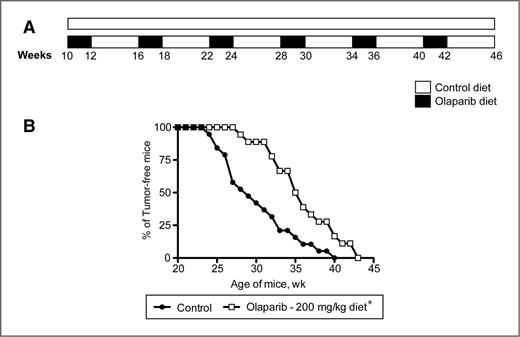 Figure 3. Intermittent treatment with olaparib delayed tumor development in BRCA1Co/Co;MMTV-Cre;p53+/− mice. A, intermittent dosing schedule for olaparib. All mice were fed with either control or olaparib diet starting at 10 weeks of age. The control group was fed with control diet throughout the study. Mice in the intermittent dosing regimen underwent cycles of 2 weeks on olaparib diet followed by 4 weeks on control diet for up to 43 weeks in the chemoprevention study and for 18 to 30 weeks in the biomarker studies. B, mice fed using the dosing schedule described in A were palpated weekly to assess tumor development; n = 19, 18 for the control and olaparib treatment groups, respectively; *, P < 0.001 versus the control group.