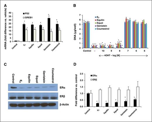 Figure 3. Steroidal and phytoestrogens act as agonists via an ER-dependent mechanism. A, MCF7:5C cells were treated with 0.1% ethanol vehicle (control), 1 nmol/L E2, 1 nmol/L equilin, or phytoestrogens (1 μmol/L). Total RNA was isolated after 24 hours and reverse transcribed, and PS2, GREB1, PgR mRNA levels were obtained using RT-PCR. B, various concentrations of 4OHT block steroidal estrogen- or phytoestrogen-mediated growth inhibition. C, MCF7:5C cells were treated with vehicle (control) and steroidal and phytoestrogens for 24 hours. ERα and ERβ proteins were detected by immunoblotting. D, ERα and ERβ mRNA was quantified with RT-PCR; *, P < 0.05, compared with control.