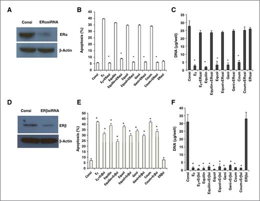 Figure 4. ERα is required for estrogen-induced growth inhibition and apoptosis. MCF7:5C cells were transfected with either nontarget RNA (consi) or siRNA of ERα for 72 hours. A, ERα was detected by immunoblotting. Then, cells were treated with either control (0.1% EtOH), 1 nmol/L steroidal estrogens, or 1 μmol/L phytoestrogens for 72 hours (B) and apoptosis was determined using Annexin V–binding assay. C, growth inhibition in the transfected cells was assessed after 6 days of treatment with indicated compounds using DNA quantification assay; *, P < 0.05. ERβ is not required for estrogen-induced growth inhibition and apoptosis. Cells were transfected with either non-target RNA (consi) or siRNA of ERβ for 72 hours. D, immunoblots. E, apoptosis. F, growth inhibition as per ERα.