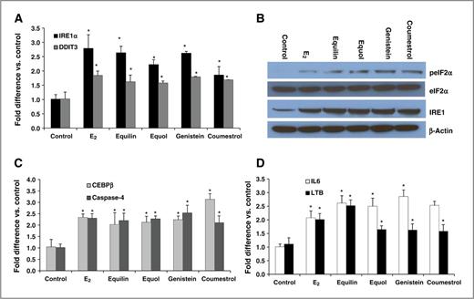Figure 5. Endoplasmic reticulum stress and inflammatory stress response are involved in phytoestrogen-induced apoptosis. A, the indicated estrogens induce endoplasmic reticulum stress–related genes, DDTT3 and IRE1α. B, MCF7:5C were treated with E2 (1 nmol/L), equilin (1 nmol/L), or phytoestrogen (1 μmol/L) for 24 hours. IRE1α and phosphorylated eIF2α were used as indicators of UPR activation and their protein expression were examined by immunoblotting. Total eIF2α and β-actin were determined for loading controls. Indicators of inflammatory stress response caspase-4, CEBPβ (C), IL6 and LTB (D) were activated by E2, equilin, and phytoestrogens; *, P < 0.05.
