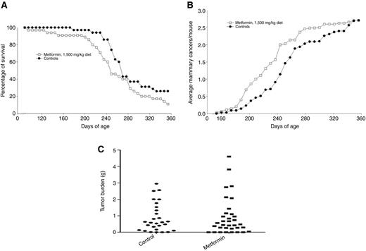 Figure 2. Effects of metformin on the development of mammary carcinomas in MMTV-Neu/p53KO mice. Weanling mice were characterized for the presence both the MMTV-Neu transgene and the KO of one copy of the tumor-suppressor gene p53. Mice were placed on control diet or diet containing 1,500 mg/kg metformin at 60 days of age. Metformin did not significantly increase survival (P < 0.05; (A), and also did not impact incidence, multiplicity (B), or cancer weight (C).