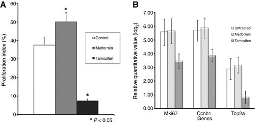 Figure 4. Effects of metformin on expression of proliferation-related biomarkers. Rats were treated as described in Materials and Methods. Both expression of proliferation-related genes and Ki67 values were determined in formalin-fixed samples. A, effects of metformin and a positive control (tamoxifen) on proliferation index in mammary cancers. Results are based on counting at least 2,000 cells for each of the tumors. The Ki67-labeling index was significantly increased in cancers treated with metformin and decreased in cancers treated with tamoxifen (P < 0.05) when compared with controls. B, effects of metformin and tamoxifen on expression of proliferation-related genes.