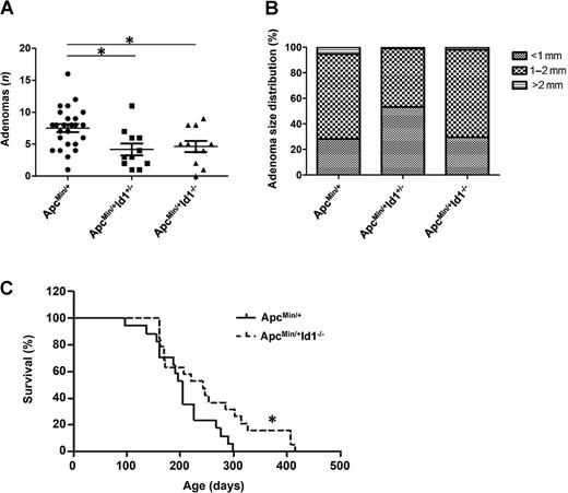 Figure 4. Id1 deficiency suppresses small intestinal tumor multiplicity and increases survival in ApcMin/+ mice. A, in comparison with ApcMin/+ Id1+/+ mice (n = 25), ApcMin/+ Id1+/− mice (n = 11), and ApcMin/+ Id1−/−mice (n = 11) developed reduced numbers of small intestinal tumors (P = 0.006 and 0.025, respectively). B, among mice that developed tumors, the proportions of tumors in different size categories were not statistically different among the three groups. C, survival of ApcMin/+ Id1+/+ (n = 17) and ApcMin/+ Id1−/− (n = 19) mice was assessed. The log-rank test showed statistically significantly lower hazard of death in ApcMin/+ Id1−/− compared with ApcMin/+ Id1+/+ mice (P = 0.04).