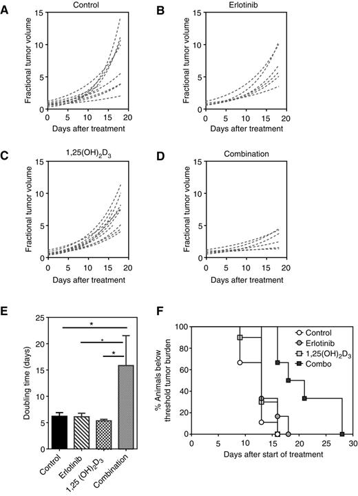 Figure 2. Efficacy of 1,25(OH)2D3 in combination with erlotinib in a PDX model of HNSCC. Change in tumor volumes of individual animals in (A) control (n = 10), (B) erlotinib only (n = 6), (C) 1,25(OH)2D3 only (n = 10), and (D) combination treatment (n = 6) arms. E, bar graph shows doubling times of tumors in all groups calculated from the growth curves. F, Kaplan–Meier survival curves of animals in all four groups showing a significant survival benefit in animals treated with the combination compared with controls and either monotherapy. *, P < 0.05.