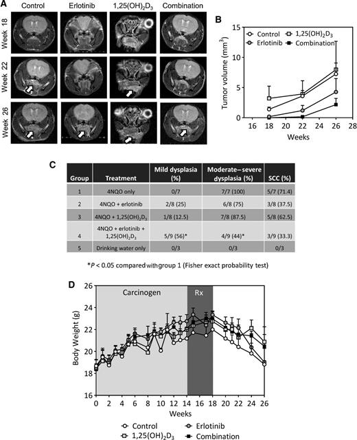 Figure 5. Chemopreventive efficacy and toxicity of erlotinib-1,25(OH)2D3 combination treatment in the 4NQO model. A, panel of images represent axial T2-weighted MR images of a mouse from each experimental group weeks 18, 22, and 26. Following 14 weeks of exposure to 4NQO, animals were randomized into either control (no treatment), erlotinib alone (25 mg/kg p.o, 5 days/week for 4 weeks), 1,25(OH)2D3 (0.1 μg i.p, 3 days/week for 4 weeks) or combination arms. Arrows point to location of tumor on the tongue. B, tumor volumes calculated from multislice T2-weighted images at different times are shown (n = 5 per group). C, incidence of preneoplastic (dysplasia) and neoplastic lesions in animals from all four experimental groups based on histologic assessment. Tongues were also obtained from animals exposed to drinking water only (Group 5; n = 3). D, body weight measurements obtained over the 26-week period in animals from all four experimental groups (n = 5 per group).