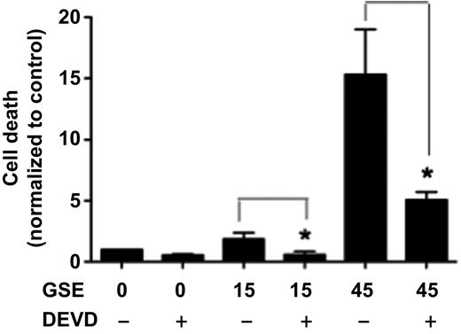 Figure 4. A549 cells were conditioned with GSE in the presence or absence of the caspase-3 inhibitor, Z-DEVD-FMK (DEVD). GSE significantly increased caspase-3 activation, whereas DEVD abrogated the GSE-induced apoptosis. Similar findings were observed in 1198 cells (data not shown). Columns, mean; bars, SD (n = 3). *, P < 0.05.