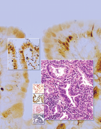 Issue cover image