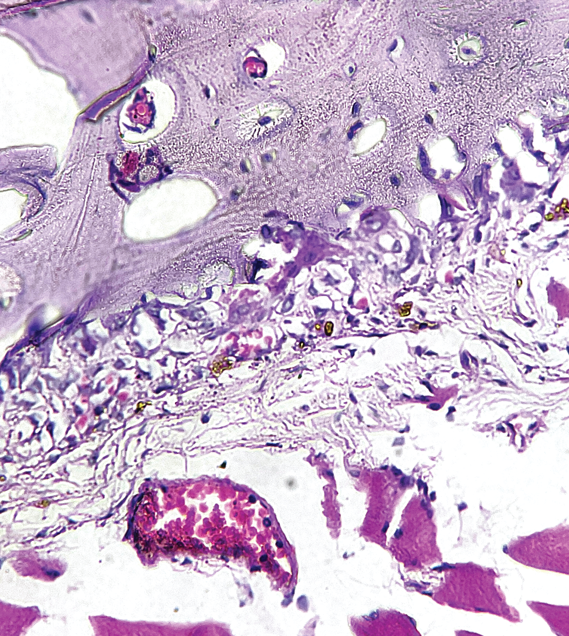 Issue cover image