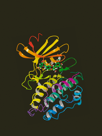 Issue cover image