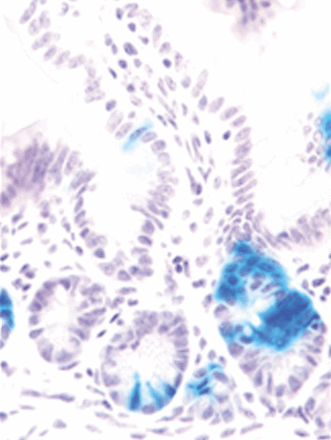 Issue cover image