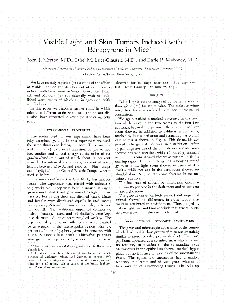 First page of Visible Light and Skin Tumors Induced with Benzpyrene in Mice<xref rid="FN1" ref-type="fn"><sup>*</sup></xref>