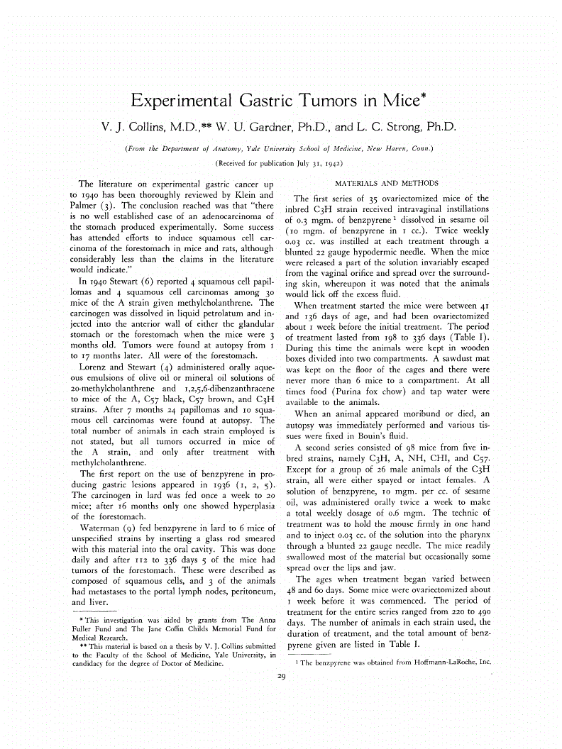 First page of Experimental Gastric Tumors in Mice<xref rid="FN1" ref-type="fn"><sup>*</sup></xref>