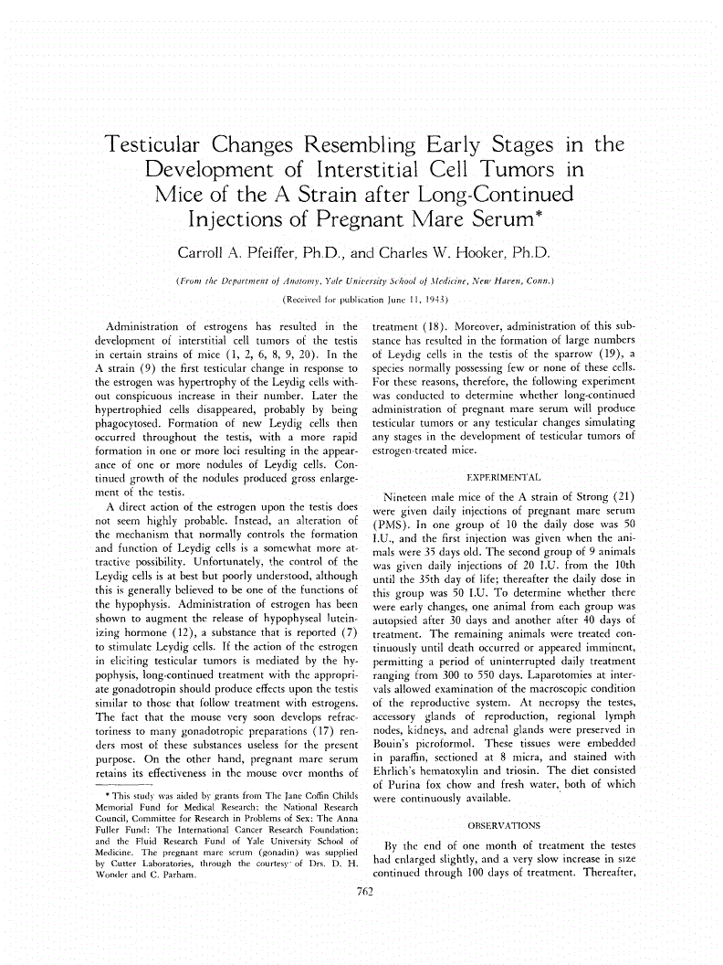 First page of Testicular Changes Resembling Early Stages in the Development of Interstitial Cell Tumors in Mice of the A Strain after Long-Continued Injections of Pregnant Mare Serum<xref rid="FN1" ref-type="fn"><sup>*</sup></xref>